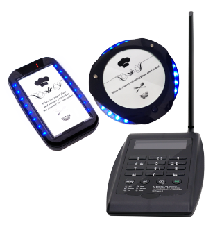 �V�[�U�[�����C�K���R�[��